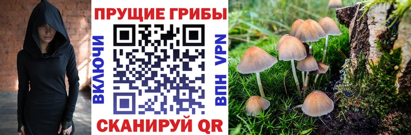 Купить закладки  Пойковский  Галлюциногенные грибы Magic Shrooms 