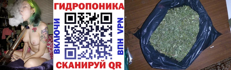 Марихуана семена Пойковский